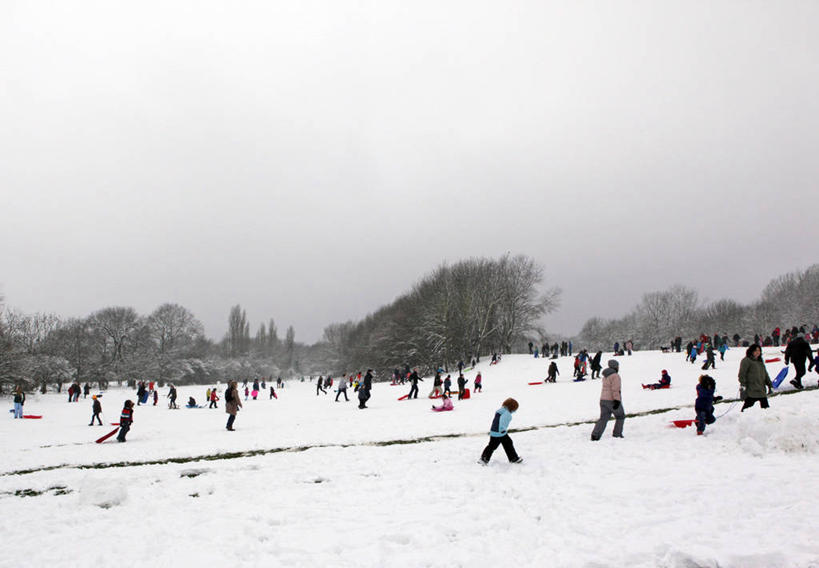 拉,横图,室外,白天,度假,雪,英国,首都,许多人,树,天空,一群人,寒冷,乐趣,摄影,雪橇,享乐,群众,休闲活动,彩图