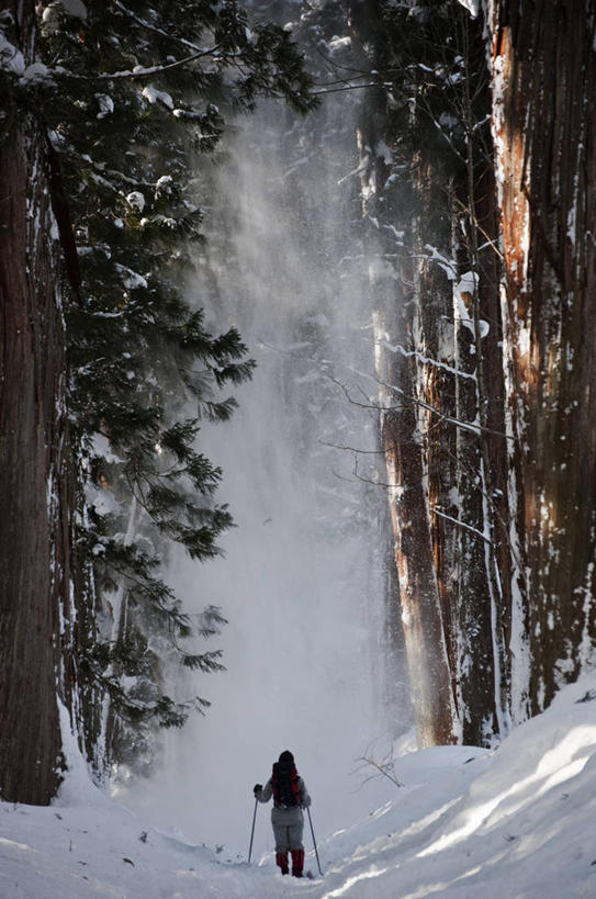 成年人,一个人,竖图,室外,白天,森林,山,雪,雾,长野县,日本,仅一个年轻女性,仅一个女性,仅一个人,日本文化,冬天,休闲装,车,背面,自然,交通工具,寒冷,摄影,滑雪杖,雪橇,载具,雪橇车,滑雪服,背包客,滑雪运动,冈谷,冒险,年轻女性,女人,女性,年轻人,休闲活动,彩图