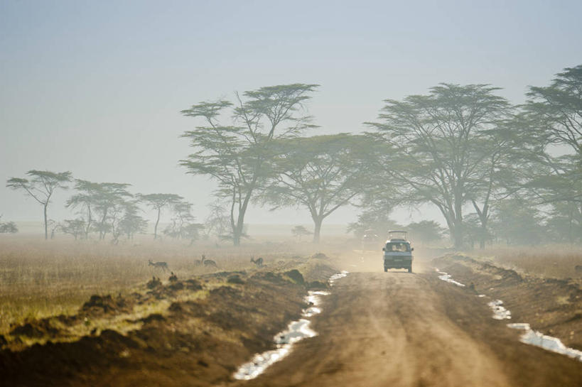 无人,横图,室外,白天,雾,汽车,鹿,肯尼亚,四只,地形,车,树,天空,自然,交通工具,运输,摄影,泥,载具,纳库鲁,彩图