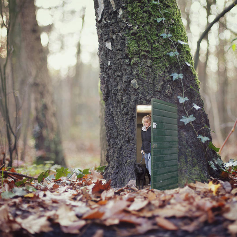 西方人,成年人,中年人,一个人,方图,室外,白天,门,宠物,狗,叶子,欧洲,荷兰,欧洲人,仅一个女性,仅一个人,拿着,休闲装,树,树干,自然,打开,仅一个中年女性,家畜,摄影,巨大,庞大,开启,改变,狗链,宏大,硕大,伟大,想法,女人,女性,中年女性,白种人,秋天,彩图