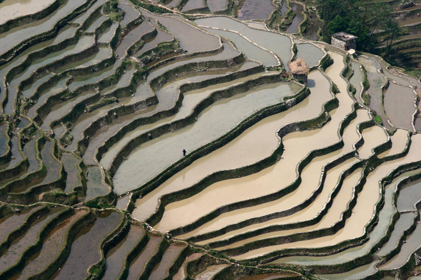 横图,俯视,室外,白天,农业,梯田,美景,山,水,稻田,景观,乡村,自然,景色,摄影,自然风光,元阳,云南省,彩图,高角度拍摄