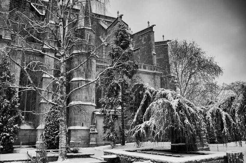 无人,教堂,横图,黑白,室外,白天,雪,建筑,法国,历史,树,天空,地标建筑,寒冷,摄影,园林,基督教,法国文化,利穆赞,大教堂,利摩日