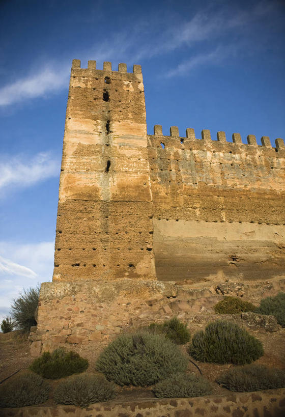 无人,竖图,室外,白天,植物,建筑,西班牙,破碎,城堡,云,历史,破坏,破损,摄影,灌木,宁静,粉碎,损坏,毁坏,摧毁,彩图