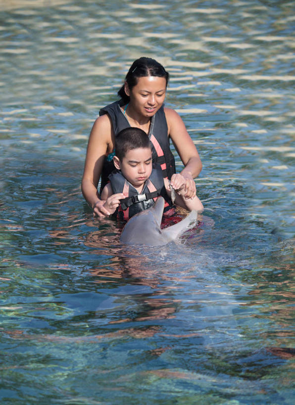 西方人,儿童,成年人,中年人,脸,头,脸颊,两个人,家庭,母亲,儿子,竖图,室外,白天,度假,纯洁,欧洲,美国,欧洲人,连接,反射,救生衣,鱼类,肩膀,小孩,动物,张嘴,两只,温暖,温馨,一家人,可爱,童年,童趣,摄影,保护,和睦,张大嘴巴,童真,烂漫,无邪,夏威夷群岛,喂养,太平洋岛屿,潟湖,天真,男孩,男性,中年女性,白种人,孩子,头部,脸部,脸蛋,面部,张开嘴,手牵手,半身,彩图,海豚鱼,融洽,菲律宾人