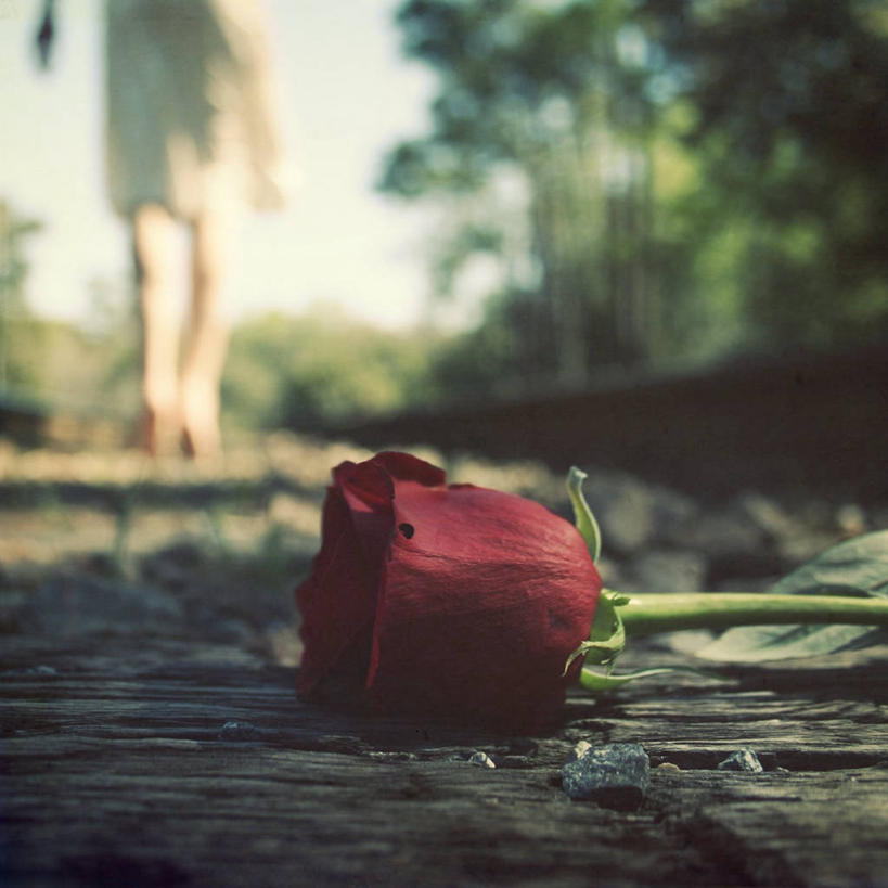 儿童,一个人,方图,室外,特写,白天,纯洁,神秘,路,铁路,玫瑰,美国,仅一个女性,仅一个人,睡衣,服装,轨道,交通,铁轨,一个,小孩,衣服,红色,仅一个小孩,可爱,童年,童趣,运输,摄影,服饰,单个,部分,北美,北美洲,脆弱,衣着,穿着,清新,美洲,家居服,童真,烂漫,无邪,佛罗里达,佛罗里达州,佛州,阳光州,北亚美利加洲,亚美利加洲,寝衣,塔拉哈西,衣饰,想法,天真,女孩,女人,女性,孩子,彩图,美利坚合众国,女生