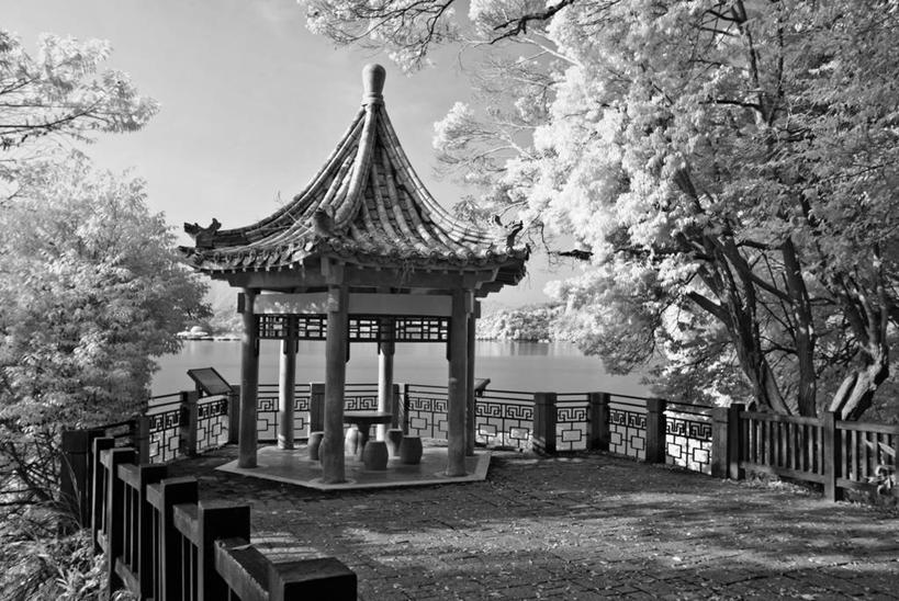 无人,栏杆,横图,黑白,室外,白天,湖,建筑,日月潭,台湾,日光,阴影,柱子,树,摄影,宁静,中国文化,亭台楼阁