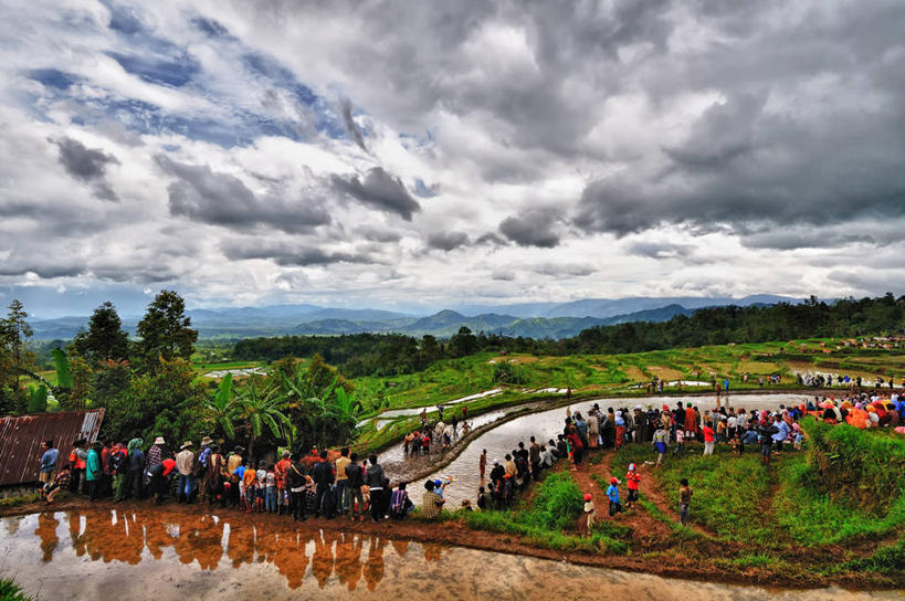 农民,农场,横图,室外,农业,美景,水,印度尼西亚,反射,景观,田地,云,香蕉树,树,风景,天空,自然,黄昏,景色,摄影,生长,宁静,自然风光,苏门答腊岛,彩图