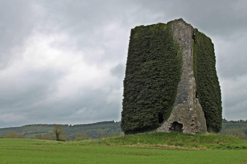 无人,横图,室外,白天,山,爱尔兰,城堡,常春藤,历史,废墟,草,自然,摄影,沃特福德郡,彩图