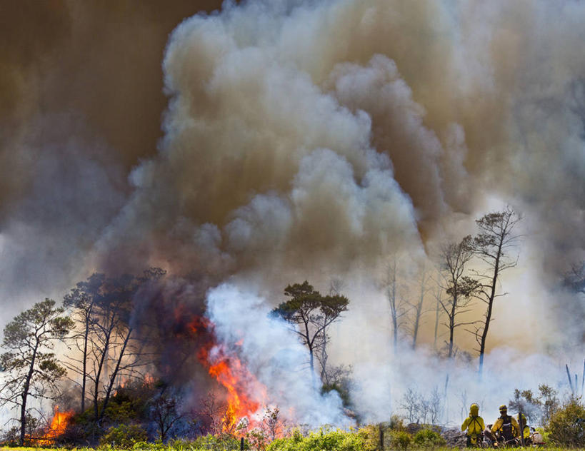 成年人,两个人,消防员,横图,室外,白天,团队,森林,火,美国,燃烧,温室,烟,摄影,天然气,熄灭,控制,北美,北美洲,美洲,佛罗里达,佛罗里达州,佛州,阳光州,北亚美利加洲,亚美利加洲,危险,彩图,美利坚合众国