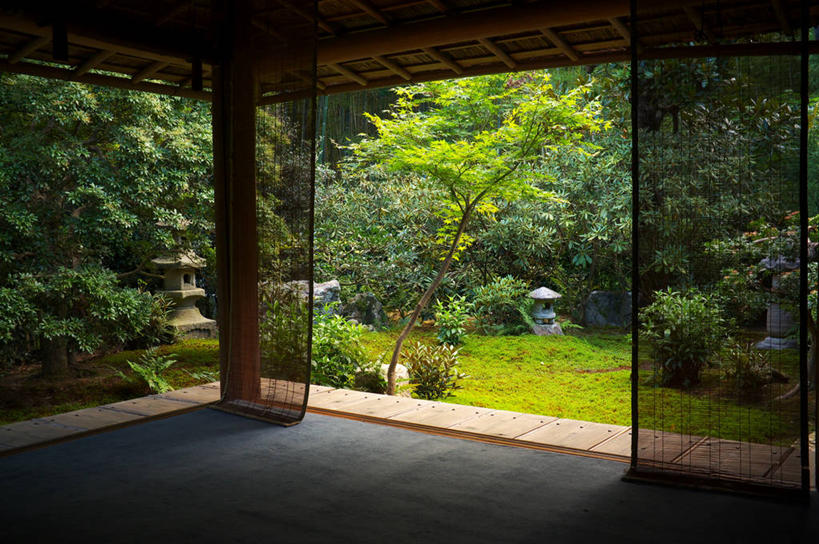 无人,横图,室内,白天,日本,日本文化,草,树,自然,夏天,摄影,京都府,宁静,京都市,彩图