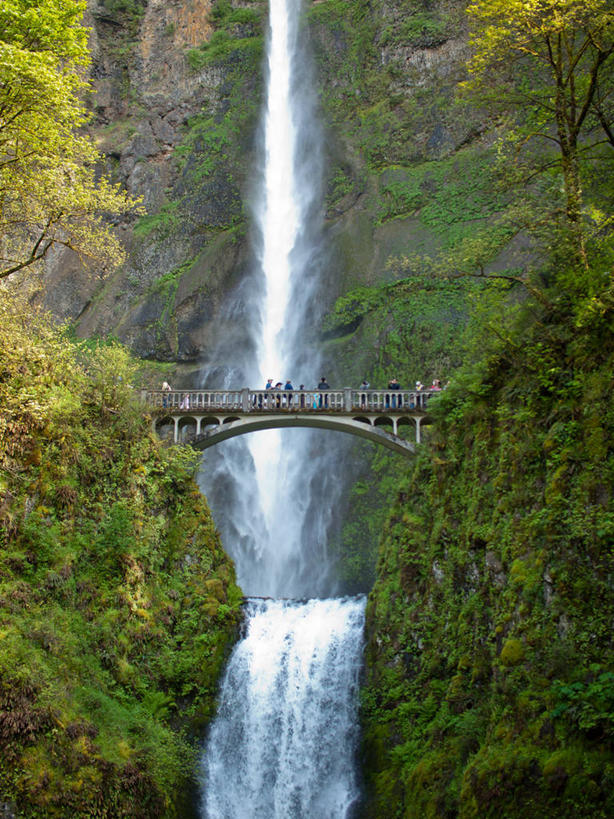 竖图,室外,白天,长时间曝光,美景,植物,美国,景观,宏伟,拱桥,树,风景,自然,景色,摄影,宁静,北美,岩层,自然风光,俄勒冈州,哥伦比亚河,波特兰,哥伦比亚河谷,岩石,彩图