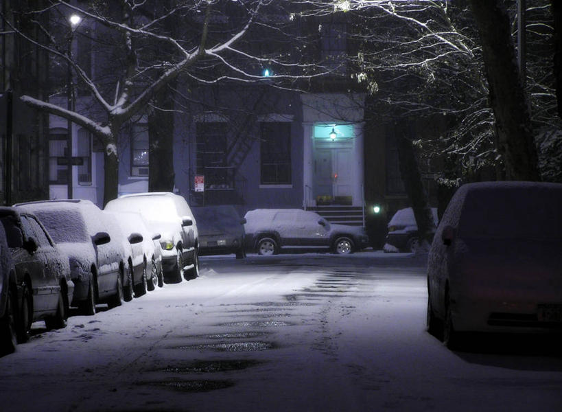 无人,横图,室外,雪,街道,汽车,冬天,枝,黎明,天气,寒冷,运输,摄影,停止,暂停,停滞,纽约州,布鲁克林