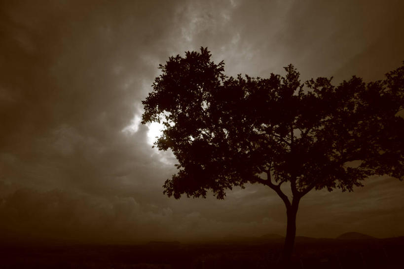 无人,横图,室外,夜晚,神秘,美景,济州岛,韩国,景观,乌云,月光,树,自然,景色,摄影,宁静,自然风光,剪影,独处