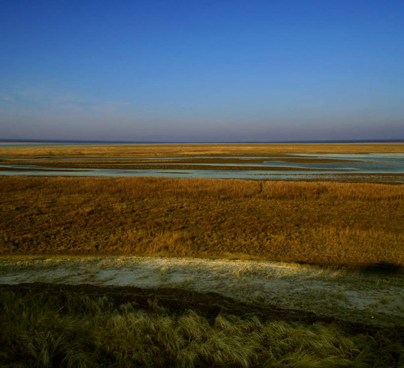 无人,横图,室外,白天,荷兰,地形,水平线,风景,自然,摄影,宁静,沼泽,万里无云