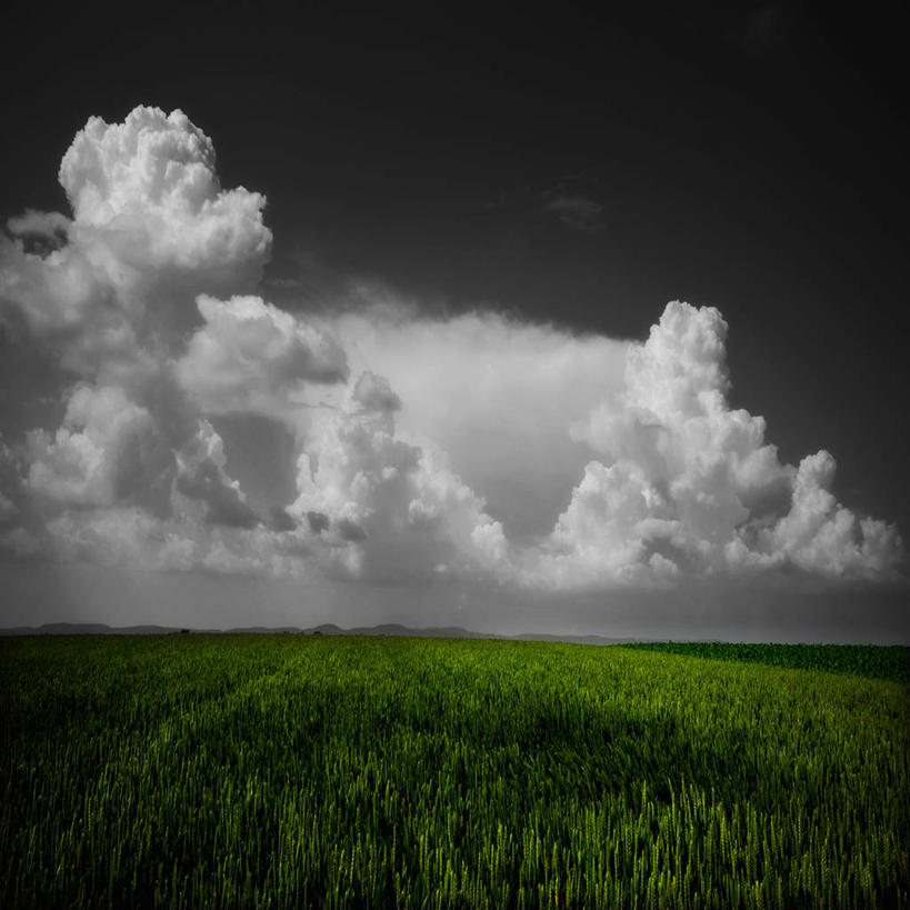 无人,方图,分离着色,室外,白天,旅游,度假,美景,法国,欧洲,地平线,地形,景观,田地,云,辽阔,地面,娱乐,绿色,风景,天空,自然,享受,休闲,广阔,景色,放松,摄影,巨大,庞大,一望无际,环境,阿尔萨斯,西欧,法兰西,自然风光,延伸,中欧,法兰西共和国,天地相交,法兰西第五共和国,斯特拉斯堡,无边无际,一马平川,宏大,硕大,伟大,阿尔萨斯大区,下莱茵省