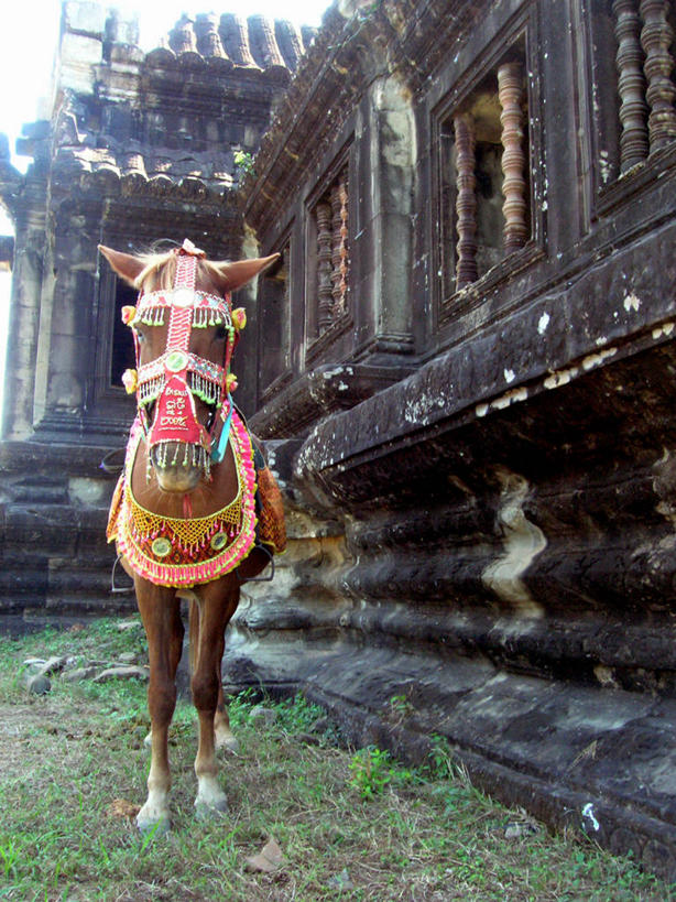 太阳穴,无人,站,竖图,室外,白天,建筑,马,柬埔寨,纪念碑,历史,动物,地标建筑,摄影,吴哥寺,暹粒,印度支那,吴哥,旅行,柬埔寨文化