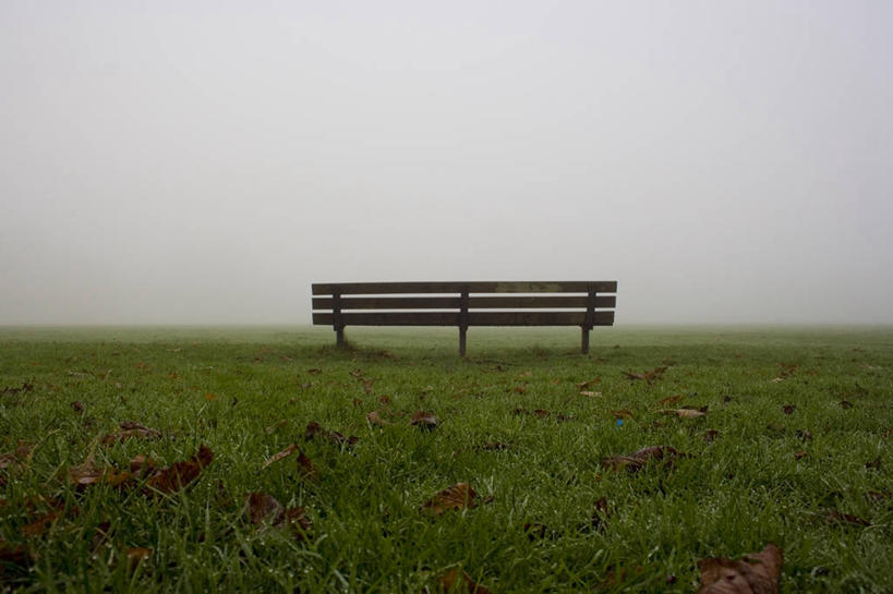 无人,公园,横图,室外,留白,雾,椅子,英国,长椅,黎明,首都,草,一个,放松,摄影,单个,宁静,北欧,独处