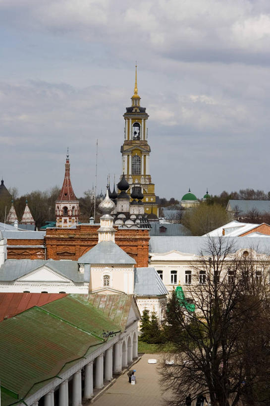 竖图,室外,白天,建筑,俄罗斯,朦胧,模糊,历史,树,自然,摄影,环境,宗教建筑,灵性,旅行,大教堂,苏兹达尔,传统文化