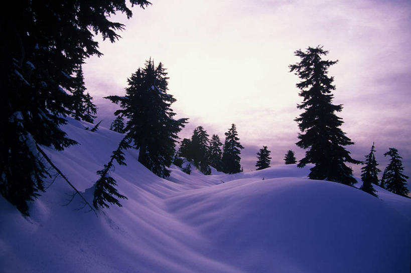 无人,横图,室外,白天,旅游,度假,美景,山,雪,松树,加拿大,地形,景观,娱乐,树,天空,自然,享受,休闲,景色,放松,寒冷,摄影,宁静,环境,山脊,自然风光,大不列颠哥伦比亚,省立公园,针叶树,郊野公园