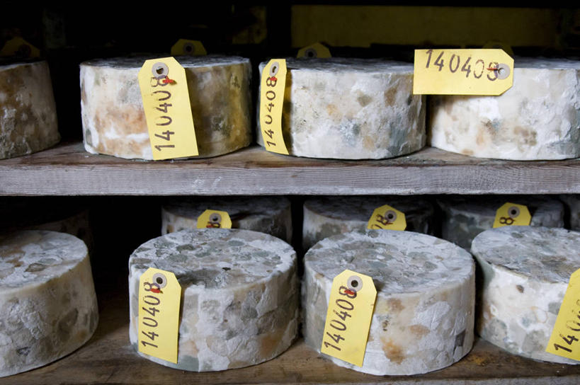 奶酪,无人,横图,室内,消费,家具,英国,一排,许多,整齐,数字,文字,很多,饮食,架子,排列,零售,摄影,奶制品,队列,北欧,价格标签,消息,硬干酪,健康食物,切达干酪,西南英格兰