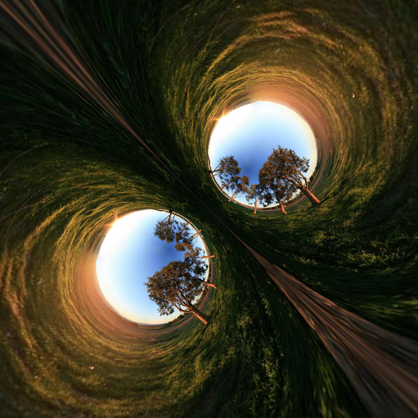 无人,竖图,室外,白天,仰视,美景,日光,美国,对称,并排,圆形,景观,草,树,天空,自然,景色,摄影,品牌,环境,北美,北美洲,加利福尼亚,自然风光,美洲,计算机制图,北亚美利加洲,亚美利加洲,想法,低角度拍摄,美利坚合众国,挨着