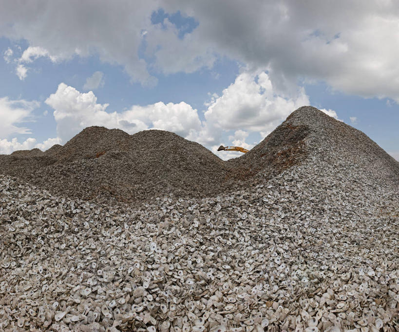 无人,横图,室外,白天,仰视,野生动物,贝壳,美国,丰富,云,牡蛎,排列,天空,工业,摄影,堆,铲车,沼泽,堆土机,潘塔纳尔湿地,低角度拍摄