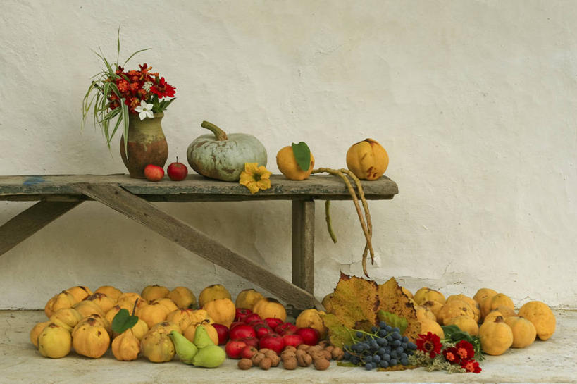 无人,横图,室内,家具,桌子,梨,葡萄,无花果,南瓜,蔬菜,水果,花盆,罗马尼亚,许多,准备,丰富,庆祝,食品,很多,饮食,花,热带水果,摄影,收获,多样,清新,健康食物,秋天