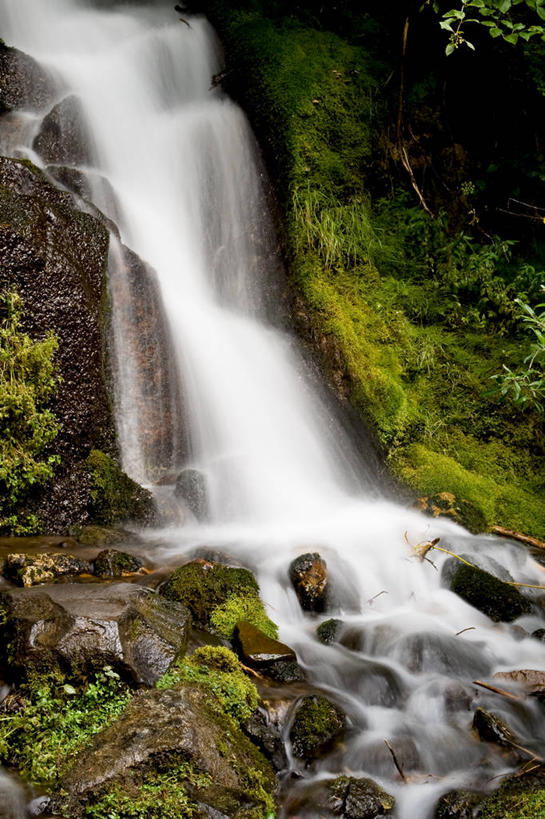 无人,公园,竖图,室外,白天,美景,瀑布,华盛顿,美国,景观,流水,风景,小溪,自然,景色,摄影,宁静,北美,北美洲,国家公园,自然风光,美洲,华盛顿州,雷尼尔山国家公园,瑞尼尔山国家公园,常绿之州,常青州,北亚美利加洲,亚美利加洲,下移,旅行,皮尔斯县