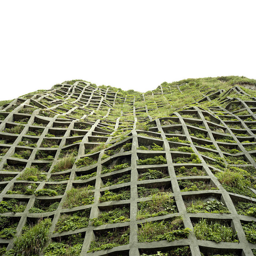 无人,方图,室外,白天,东京,日本,墙,混凝土,关东地区,首都,草,绿色,自然,摄影,生长,环境,清新,东亚,式样