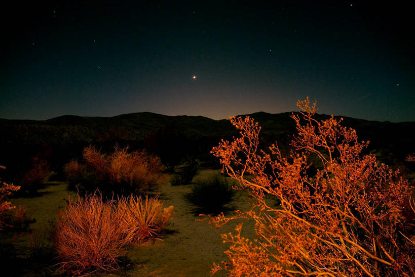 无人,横图,室外,夜晚,旅游,度假,美景,山,植物,美国,地形,景观,月亮,枝,娱乐,天空,自然,享受,休闲,景色,放松,摄影,宁静,环境,北美,北美洲,加利福尼亚,自然风光,美洲,北亚美利加洲,亚美利加洲,丝兰,美利坚合众国