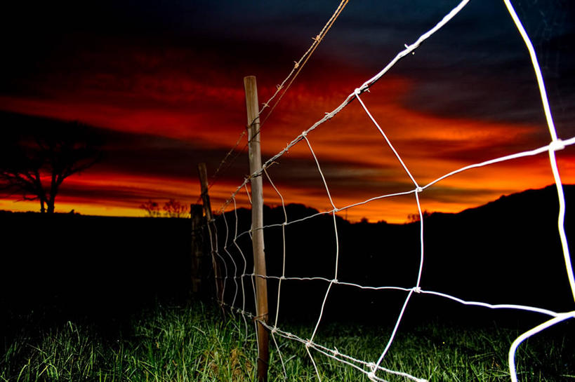 西方人,无人,横图,室外,安全,欧洲,非洲,南非,黑人,欧洲人,栅栏,黄昏,木桩,摄影,保护,金属丝,斯泰伦博斯,开普省,非洲人,带刺铁丝网