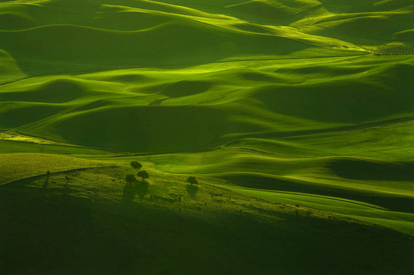无人,横图,俯视,航拍,室外,白天,旅游,度假,农业,美景,山,美国,地形,景观,田地,娱乐,自然,春天,享受,休闲,景色,放松,摄影,宁静,北美,北美洲,鸟瞰,自然风光,美洲,华盛顿州,惠特曼县,帕卢斯,州立公园,北亚美利加洲,亚美利加洲,高角度拍摄,美利坚合众国