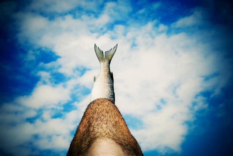 腿,一个人,横图,室外,白天,巴西,云,鱼类,天空,南美,人体,摄影,部分,四肢,圣卡塔琳娜,想法