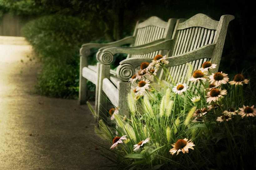 无人,横图,室外,白天,美国,并排,长椅,座位,花,两个,放松,摄影,北美,北美洲,脆弱,清新,美洲,伊利诺斯州,芝加哥市,北亚美利加洲,亚美利加洲,旅行,美利坚合众国,挨着