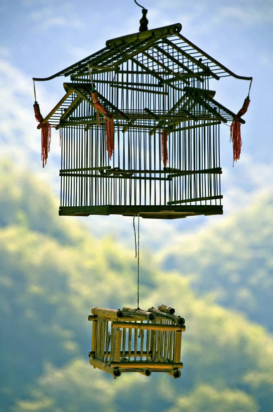 无人,竖图,室外,特写,白天,自由,意大利,吊挂,悬挂,鸟笼,挂,摄影,南欧