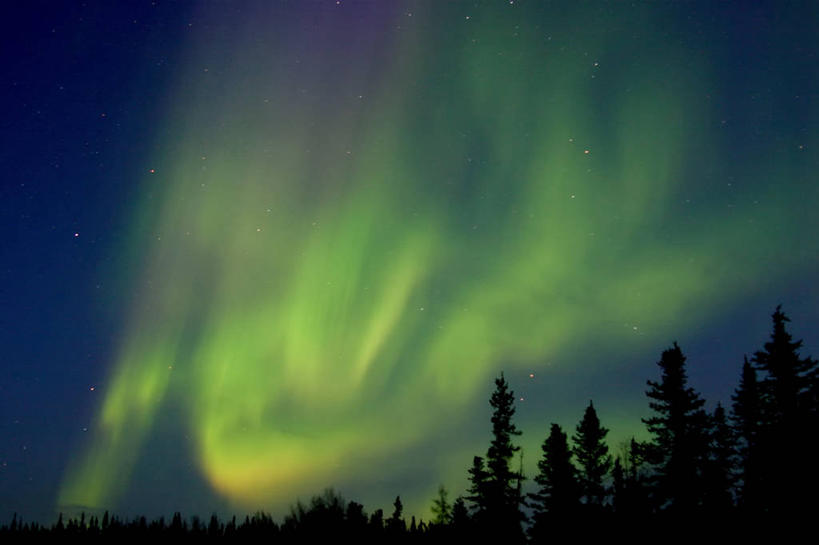 无人,横图,室外,夜晚,仰视,神秘,极光,美景,加拿大,景观,光亮,树,风景,天空,自然,景色,摄影,宁静,环境,照亮,自然风光,耶洛奈夫,北极光,低角度拍摄,旅行