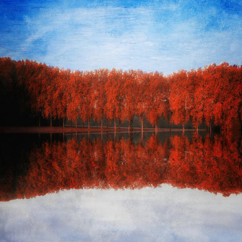 无人,方图,室外,白天,湖,美景,法国,欧洲,反射,景观,云,树,天空,自然,景色,摄影,宁静,环境,阿尔萨斯,西欧,法兰西,自然风光,改变,中欧,法兰西共和国,法兰西第五共和国,斯特拉斯堡,阿尔萨斯大区,秋天,下莱茵省