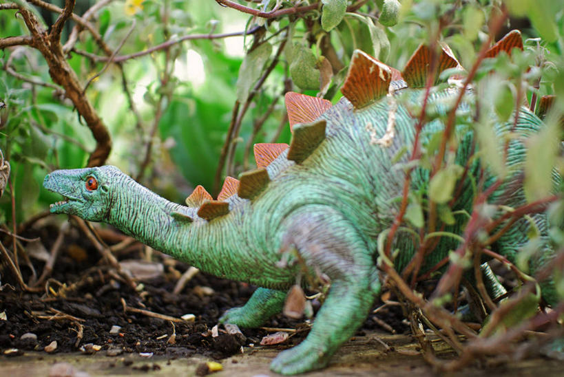 无人,横图,室外,白天,英国,欧洲,伦敦,塑胶,庭院,首都,绿色,自然,动物,家畜,模仿,摄影,恐龙,环境,西欧,北欧,大不列颠,剑龙,大不列颠及北爱尔兰联合王国,大不列颠及爱尔兰联合王国,雾都,大不列颠王国,大英帝国,联合王国,日不落帝国