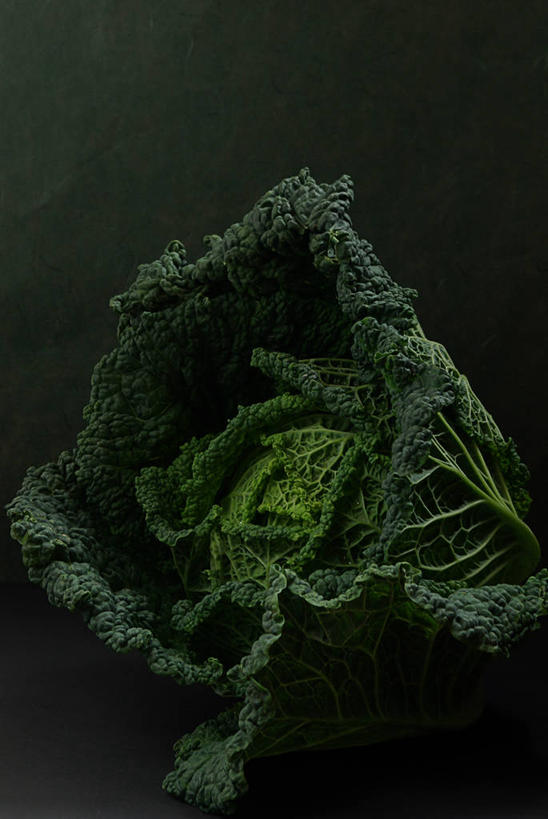 无人,竖图,室内,特写,蔬菜,静物,叶子,德国,欧洲,绿色背景,新鲜,食品,绿叶,饮食,食物,绿色,嫩叶,甘蓝,摄影,有机食品,绿色食品,西欧,清新,皱叶甘蓝,健康食物,中欧,德意志联邦共和国,波恩,莱茵兰.普法尔茨州,叶,叶片,影棚拍摄