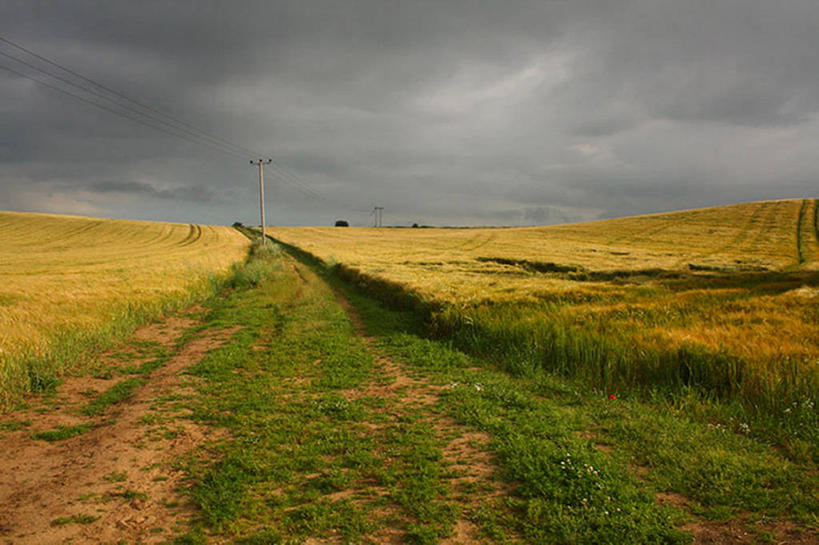 无人,横图,室外,白天,消失点,农业,英国,地平线,田地,云,辽阔,地面,天空,自然,广阔,摄影,一望无际,环境,北欧,延伸,透视图,天地相交,无边无际,一马平川