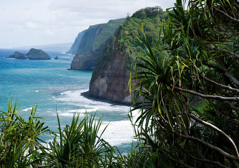 无人,横图,室外,白天,岛屿,海洋,美景,水,植物,夏威夷,美国,景观,悬崖,风景,自然,景色,摄影,宁静,北美,北美洲,岩层,自然风光,美洲,大洋洲,夏威夷岛,夏威夷州,爱洛哈之州,夏威夷群岛,比格岛,北亚美利加洲,亚美利加洲,大岛,太平洋岛屿,列岛,群岛,岩石,诸岛,旅行,科纳市,美利坚合众国