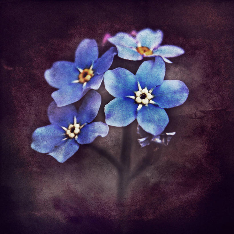 无人,方图,插画,室内,室外,特写,白天,数码,科技,美景,勿忘我,阴影,网络,景观,高光,几何,计算机图形,合成,图画,画,蓝色,自然,景色,电脑合成图,数码合成图,创造力,脆弱,合成图,自然风光,漫画,巴尔干,肌理,写实,具体,具象,塞尔维亚,摇滚乐,影棚拍摄