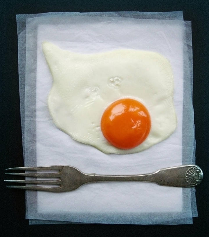 无人,竖图,俯视,室内,特写,静物,英国,包装,包装纸,纸,叉,鸡蛋,煎蛋,纸张,饮食,摄影,包装材料,蜡纸,清新,北欧,健康食物,高角度拍摄