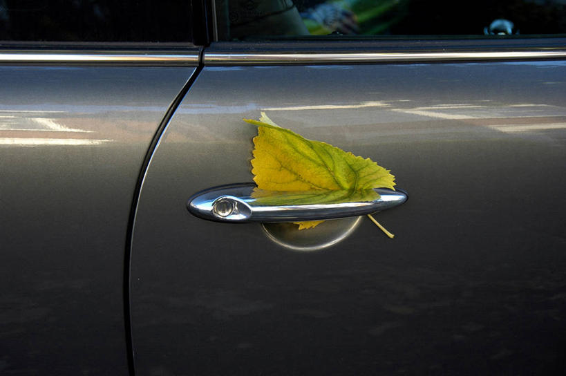 无人,横图,室外,特写,白天,安全,窗户,门,汽车,叶子,英国,光线,机动车,光芒,一个,灰色,自然,把手,车门,门把手,门框,运输,摄影,单个,幽默,部分,环境,北欧