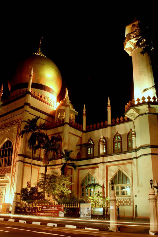 无人,栏杆,竖图,室外,夜晚,运动模糊,长时间曝光,仰视,窗户,城市,道路,建筑,街道,路,公路,棕榈树,新加坡,发光,路标,交通,光亮,首都,摄影,宗教,照亮,中东,圆顶建筑,清真寺,分割,新加坡市,灵性,阿拉伯,中东人,马路,低角度拍摄,旅行,传统文化,苏丹清真寺