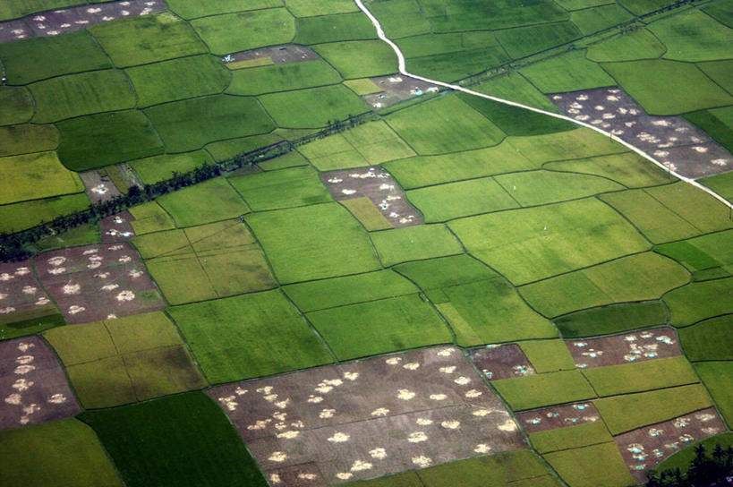 无人,横图,俯视,航拍,室外,白天,旅游,度假,农业,美景,印度尼西亚,斑点,稻田,地形,景观,田地,娱乐,绿色,风景,自然,享受,休闲,景色,放松,摄影,生长,环境,鸟瞰,自然风光,式样,南苏拉威西省,高角度拍摄,望加锡