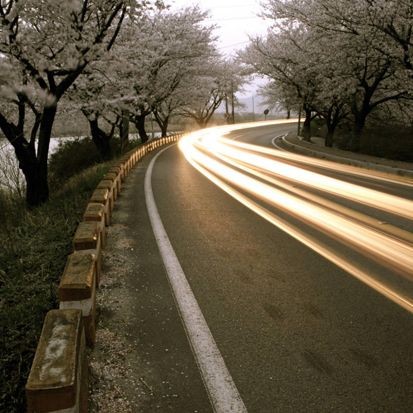 无人,横图,室外,白天,运动模糊,长时间曝光,路,樱花,韩国,路标,果树,光亮,樱桃树,花朵,自然,春天,运输,摄影,生长,车灯,尾灯,迅速,环境,照亮,脆弱,朝鲜半岛,河东郡