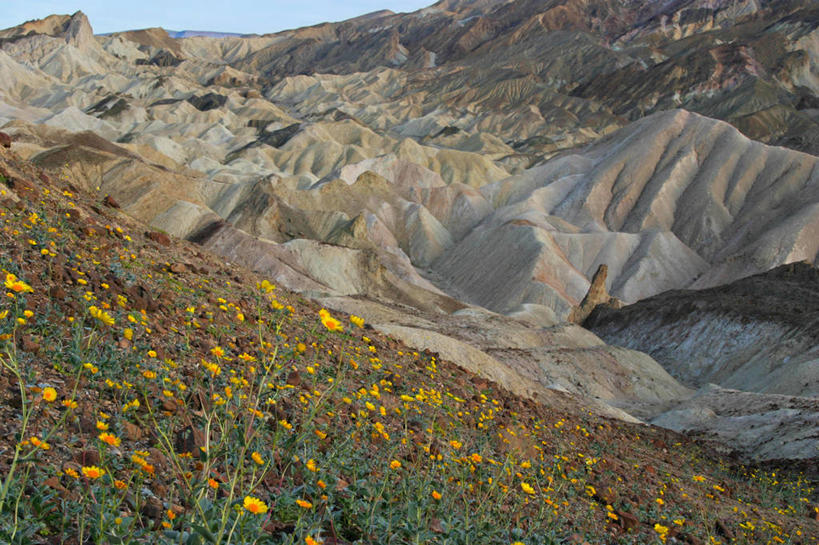无人,横图,俯视,室外,白天,美景,沙漠,山,峡谷,植物,向日葵,美国,沮丧,景观,花,风景,天空,自然,景色,摄影,生长,宁静,环境,北美,北美洲,国家公园,加利福尼亚,自然风光,美洲,死亡谷国家公园,北亚美利加洲,亚美利加洲,大盆地国家公园,荒地,高角度拍摄,旅行,美利坚合众国