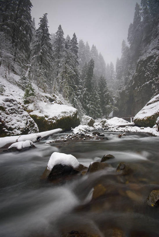 无人,竖图,室外,白天,河流,美景,雪,美国,河岸,景观,冬天,树,风景,自然,景色,寒冷,摄影,宁静,北美,自然风光,俄勒冈州,哥伦比亚河