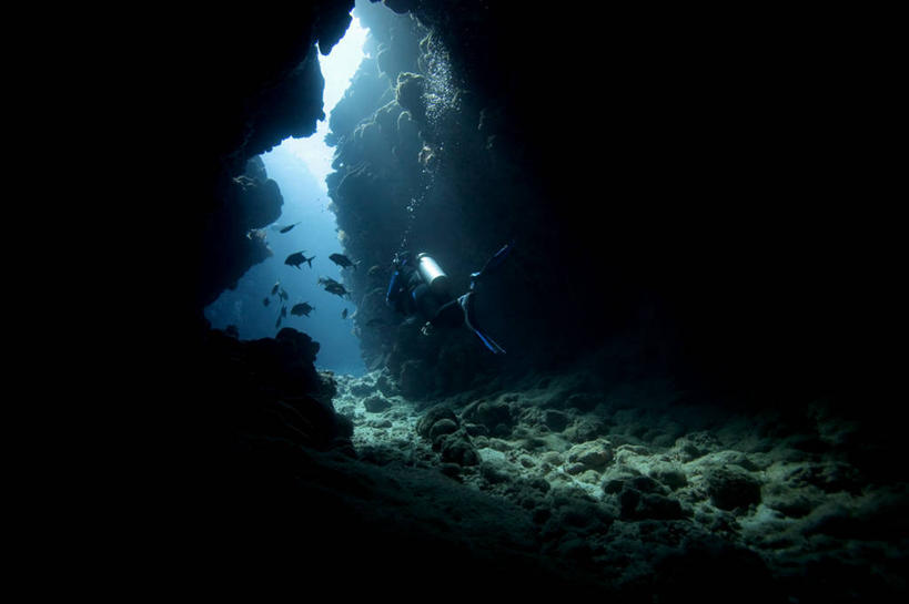 一个人,横图,室外,探险,水下,海洋,澳大利亚,一群,许多,朦胧,模糊,珊瑚,很多,鱼类,探索,潜水服,摄影,洞穴,脚蹼,昆士兰州,澳大拉西亚,冒险,水肺潜水